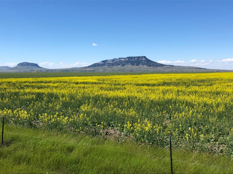 5B53InrTQuub+Rz0aDVp4w