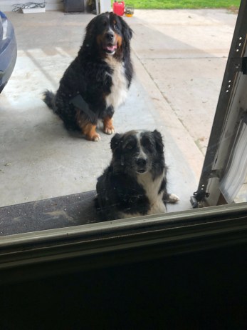 iy5Btb%DSfuGfodl4hjpig