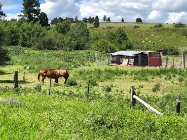 M4YQLc9LQQqAuf+%P2CFIg